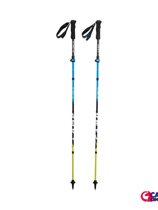 Bastoncini Sky Carbon Evo